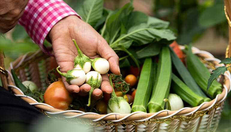 This Leader in Organic Agriculture Growth