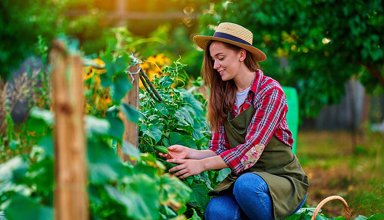 We Are Ripening Fruits Healthy Blog