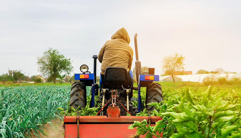 Organic Farming Student Work Experience